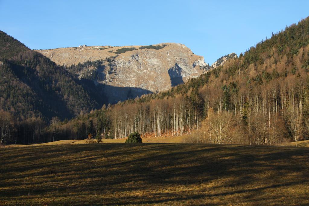 Haus Seeschwalbe Sankt Wolfgang im Salzkammergut Exterior foto